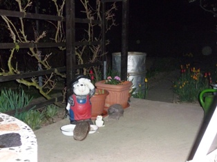 Endlich gibt es hier wieder was zu futtern