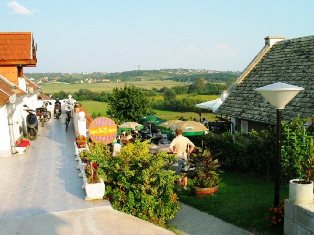 Im Weinberg in Heviz